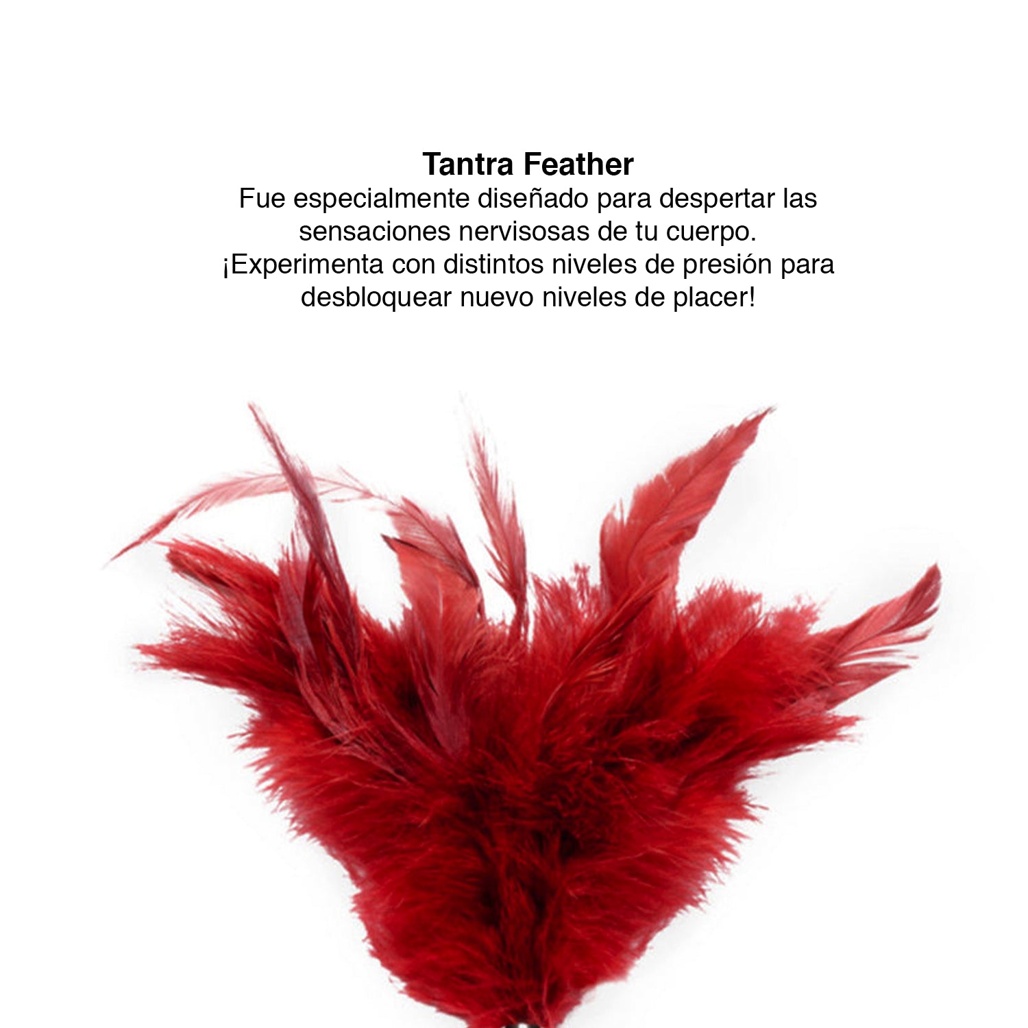 Tantra Feather | Juguete Sensorial Parejas by Lelo - Lelo - Tantra Feather | Juguete Sensorial Parejas by Lelo - LUST TOYS